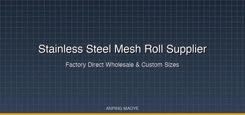 Stainless Steel Mesh Roll Supplier: Factory Direct Wholesale & Custom Sizes